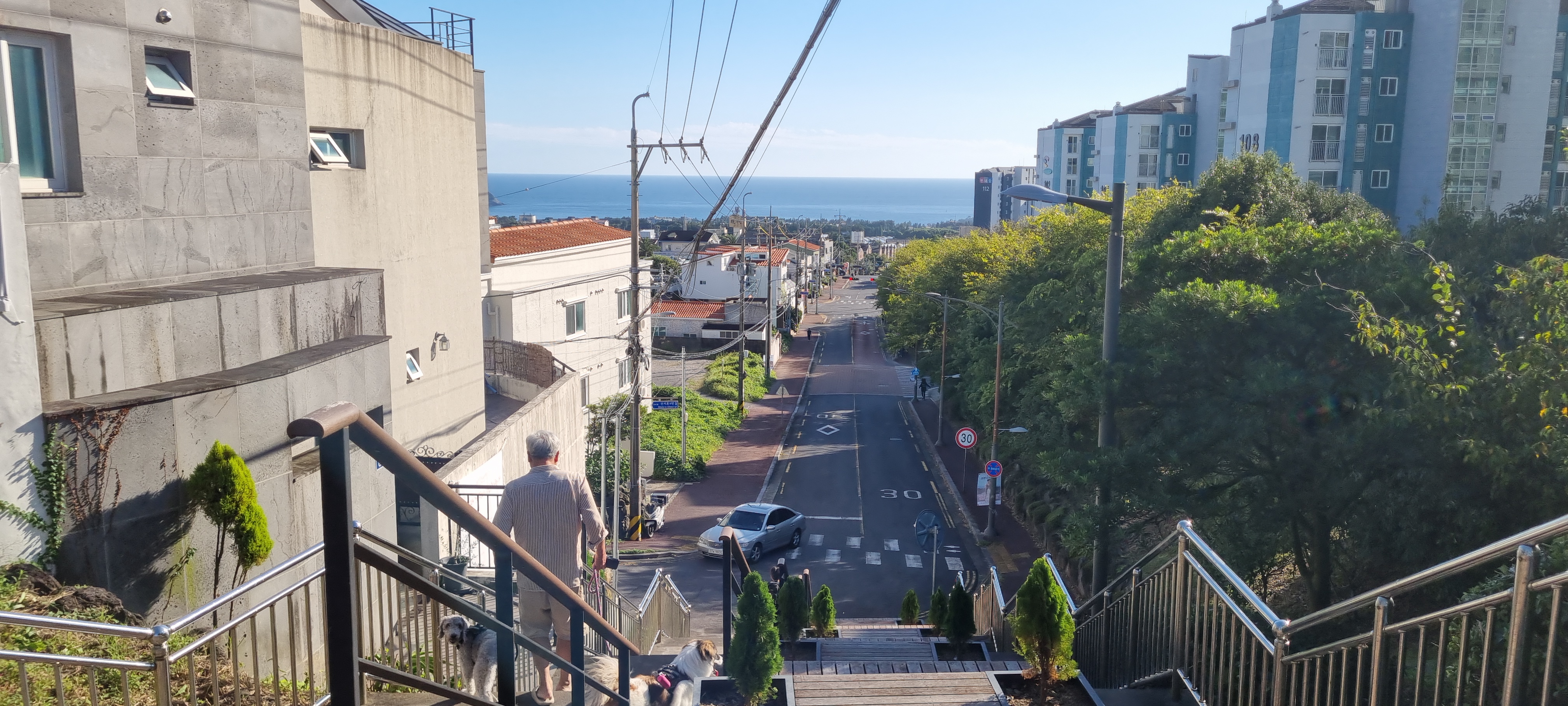 대신중학교 등교 길