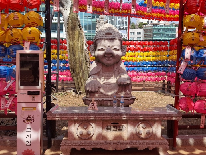 조계사-봄꽃-힐링-2