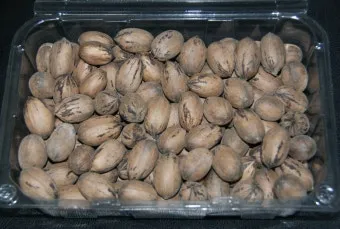 피칸 재배 기후 선택 전정 포인트 열매 건조_5