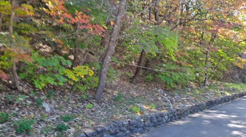 설악산_단풍여행_총정리