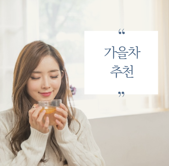 가을차 추천, 마음까지 따뜻해지는 계절 차 이야기