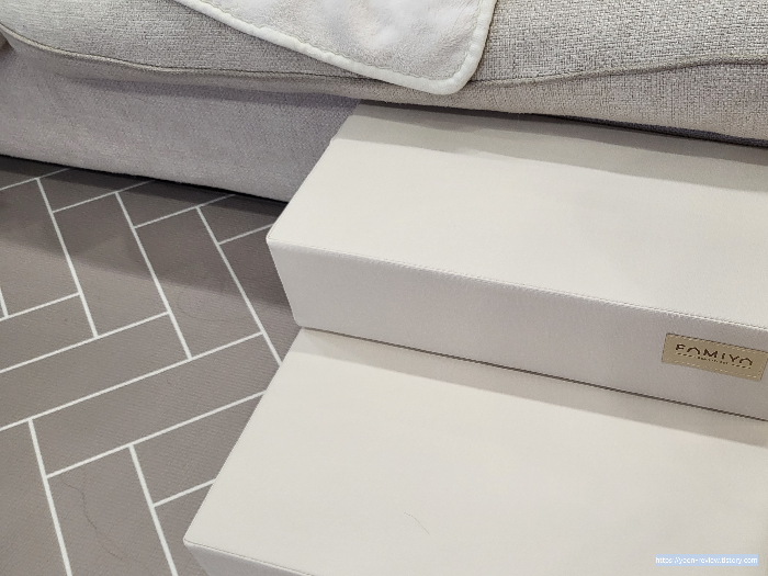 파미야강아지계단