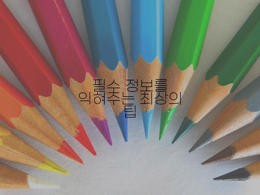 필수 정보를 익혀주는 최상의 팁