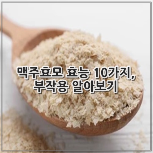 맥주효모 효능 10가지, 부작용 알아보기