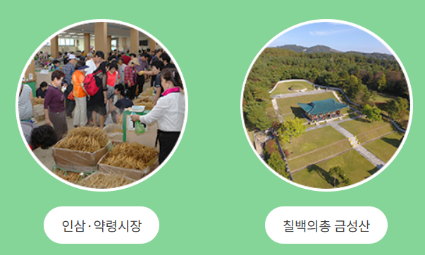 금산자연휴양림 2025 방문 가이드 &amp;#124; 예약&middot;체험&middot;주변 여행 코스