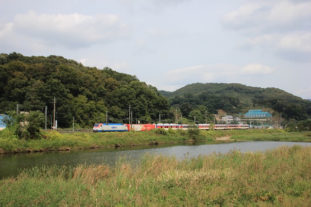 청량리역 태백역 사이 운행 무궁화호