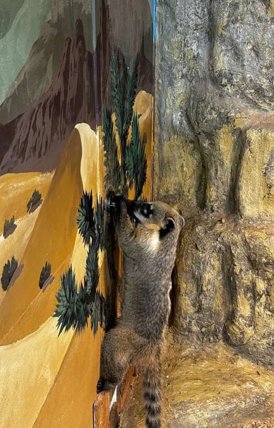 수달앤쥬 동물원