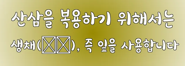  산삼을 복용하기 위해서는 생채(生菜), 즉 잎을 사용합니다