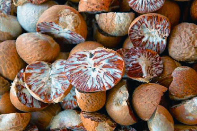 바오밥나무의 열매