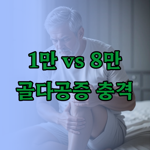 초음파와 DXA 골다공증 검사 비용 ..