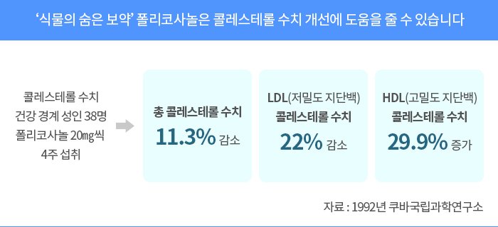 폴리코사놀의효능콜레스테롤개선