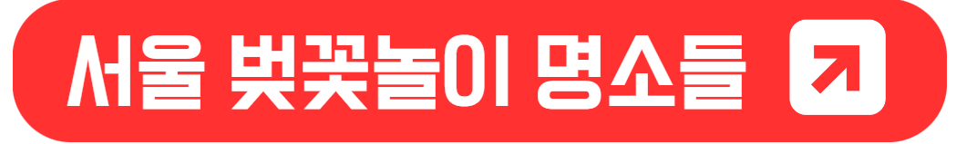 2024년 벚꽃 개화 시기와 벚꽃 놀이 명소 가이드