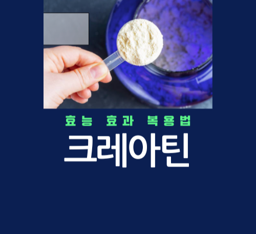 크레아틴 복용 가이드 : 운동 능력 극대화를 위한 최적의 방법