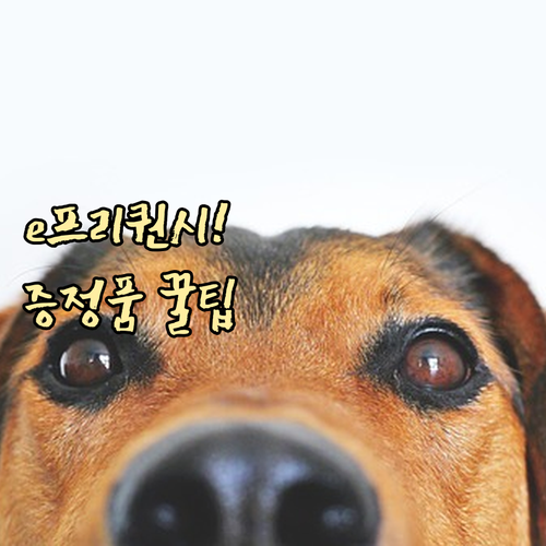 e-프리퀀시 완성 조건 적립 기준 미..