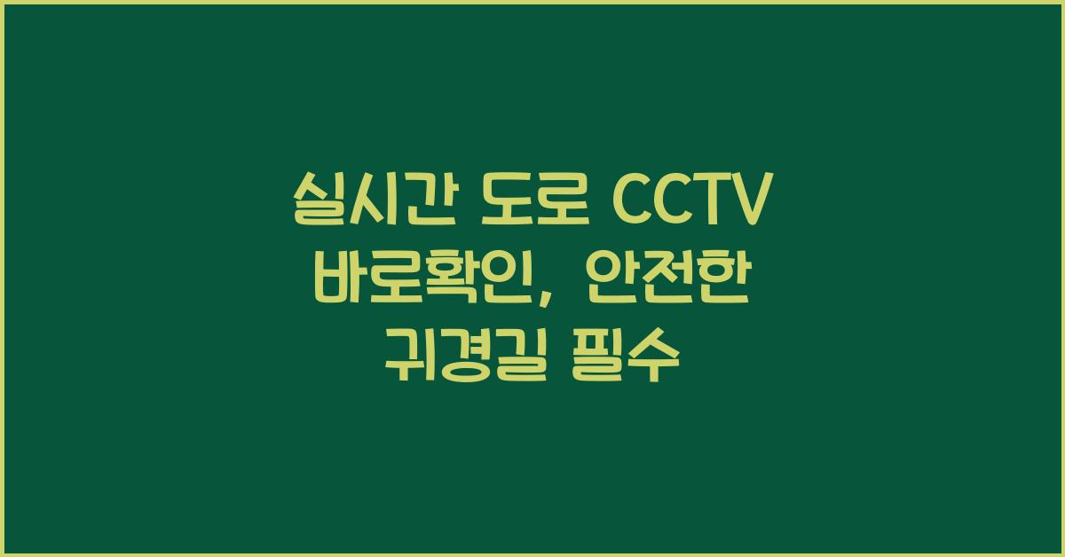 실시간 도로 cctv 바로확인