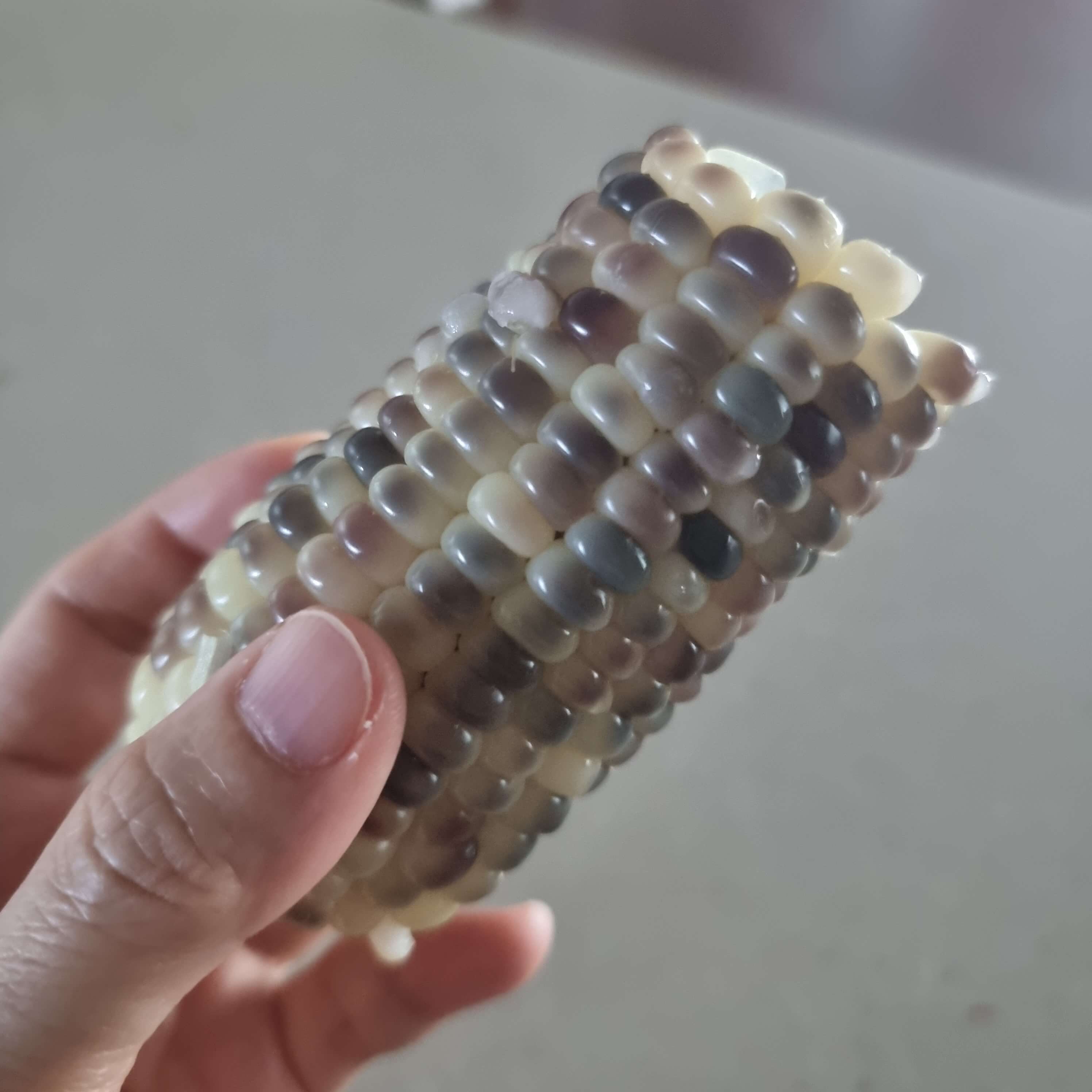 간헐적 단식 20:4 실제 경험담