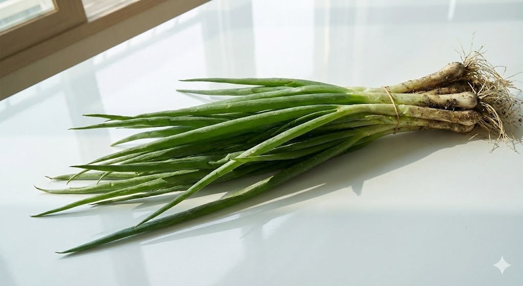 한국 요리의 풍미를 책임지는 필수 식재료, 알리신 성분이 가득 담긴 싱싱한 대파