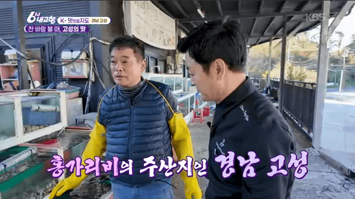 [6시내고향]경남 고성 제철 홍가리비 &amp;#39;계림새우나라&amp;#39; 예약 위치 연락처 정보