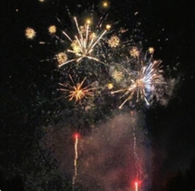 충청도 꽃축제