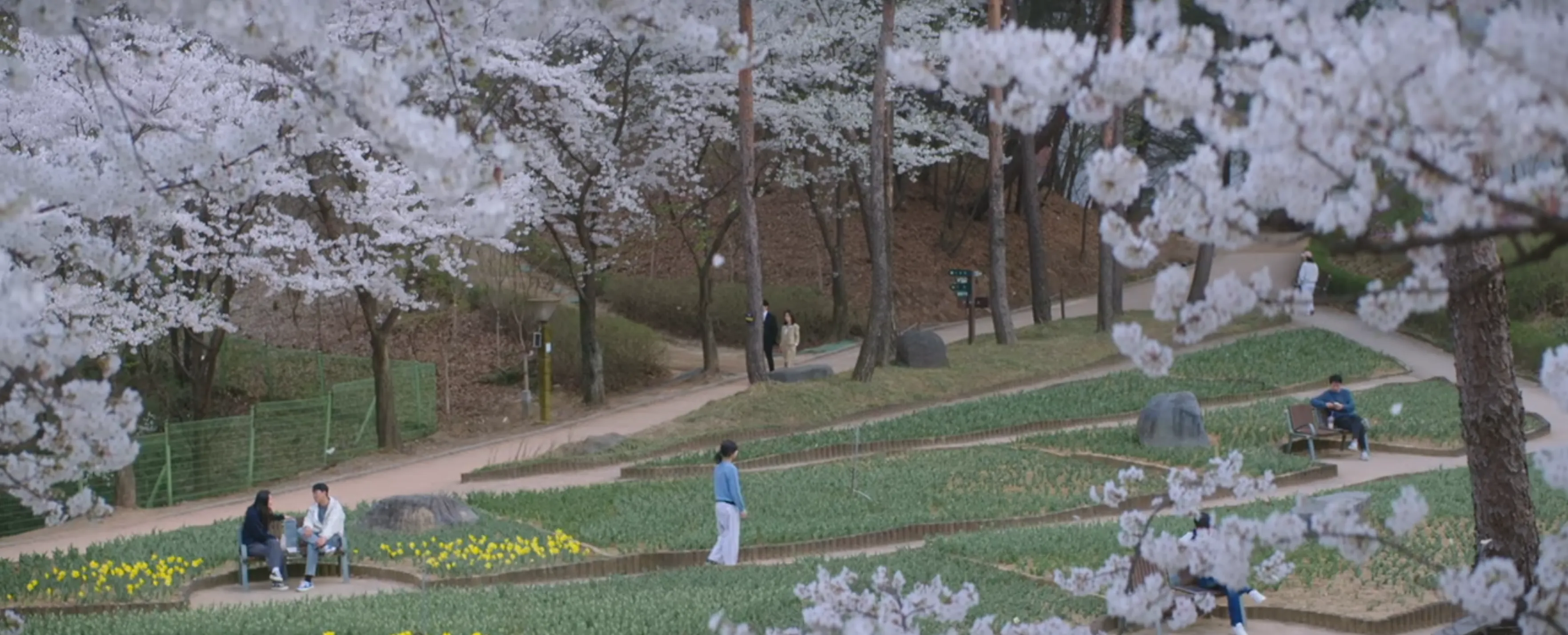 나의 완벽한 비서 촬영지 4화 직동근린공원