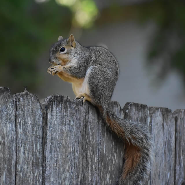 숨은 보험금 11조원! 내 돈 찾는 완벽 가이드