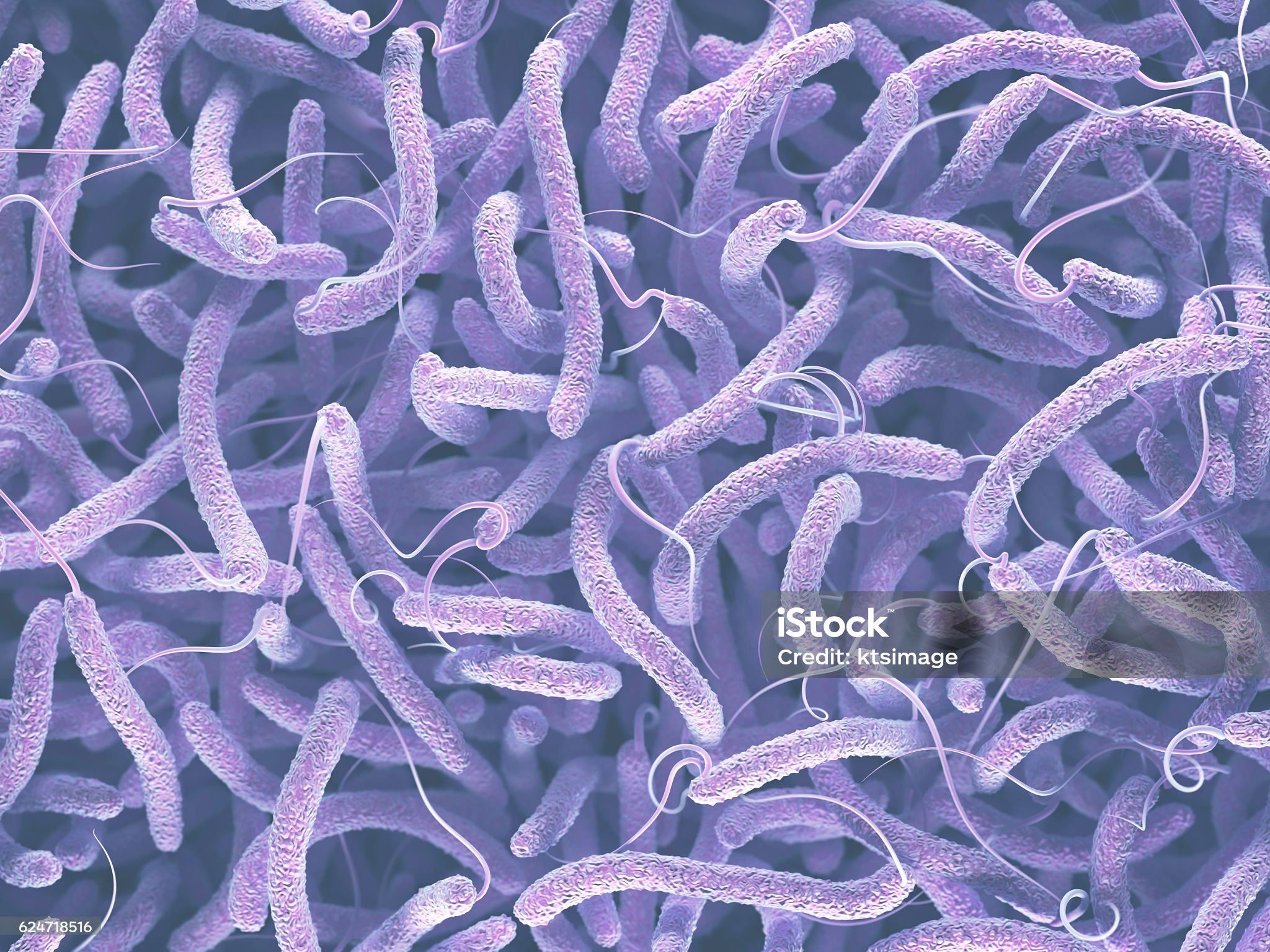 콜레라-관련-사진