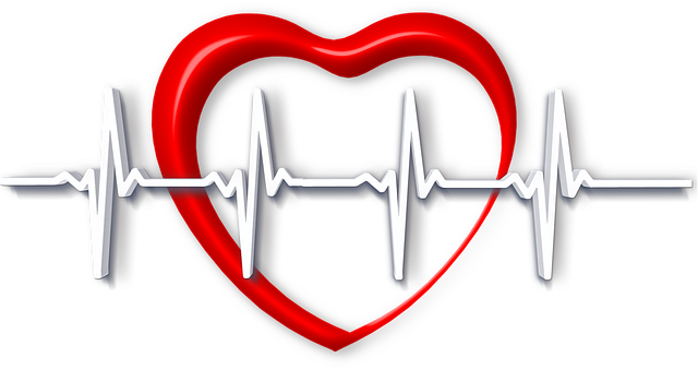 심박 관련 사진