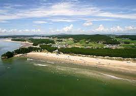 안면도 가볼 만한 곳 BEST 10