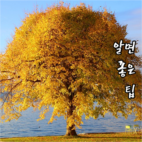ESTA 수수료 40달러 왜? 인상 ..