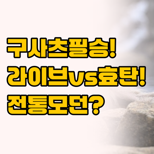 전통 vs 모던, 구사츠 온천 두 곳..
