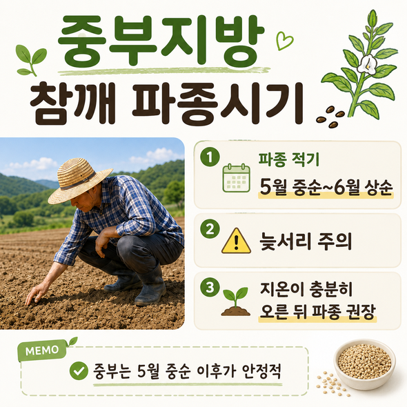 참깨 파종시기