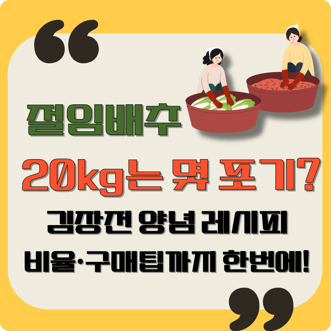 절임배추 20kg는 몇 포기? 김장전 양념 레시피·비율·구매팁 이미지