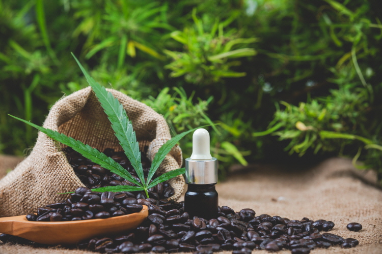햄프시드오일 hempseedoil 햄프씨드 햄프시드