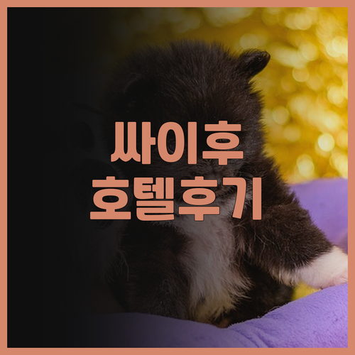 싸이후 무지 호텔 후기, 2024년