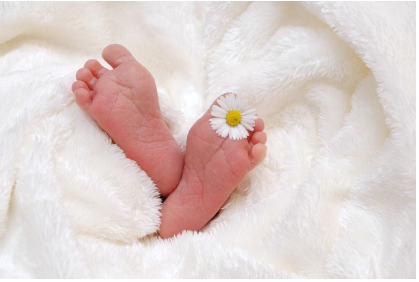 아기 이유식에 절대 넣으면 안 되는 재료 10가지 - 초보 부모가 꼭 알아야 할 이유식 금지 식품