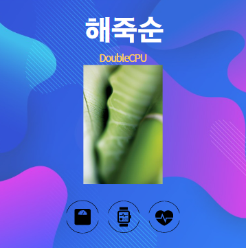 해죽순 알아보기