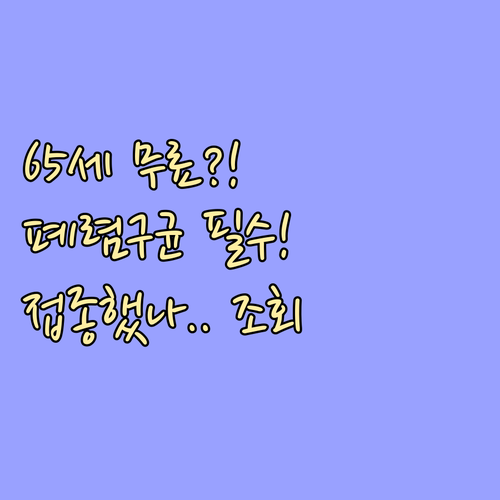 65세 이상 폐렴구균 무료 접종 대상..