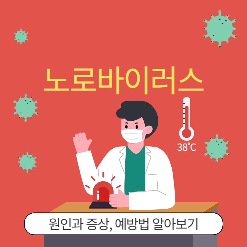 노로바이러스 원인과 증상 예방법