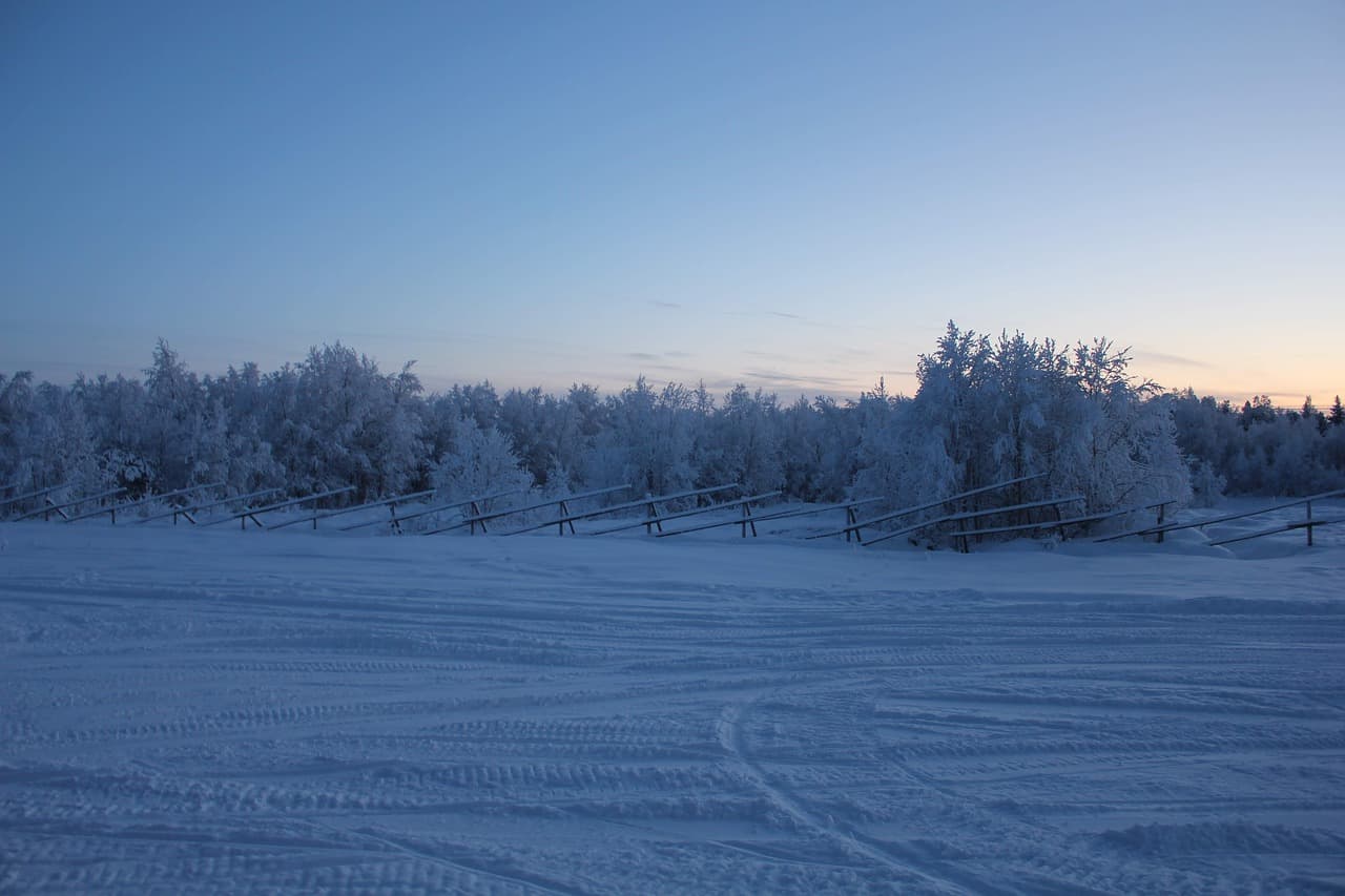 얼음 속에서 살아남기:이누이트의 겨울 생존 비결