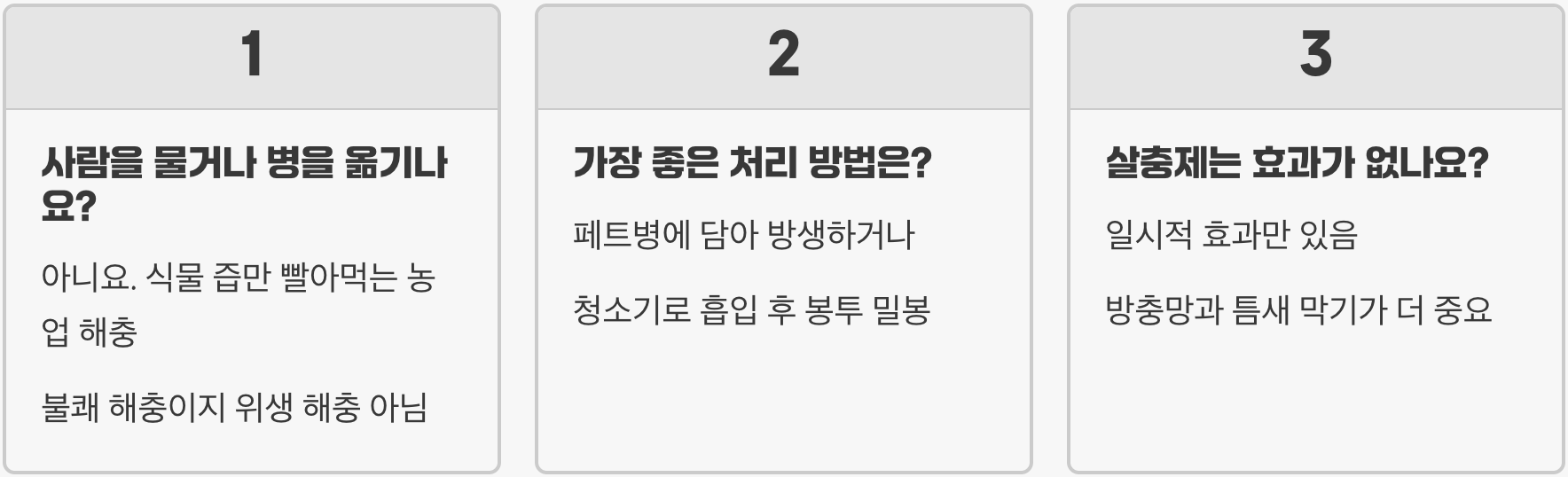 노린재 생기는 이유, 원인부터 잡아야 재발 안 합니다 (외부 유입)