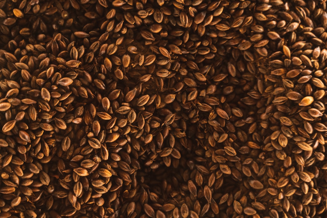 Grain