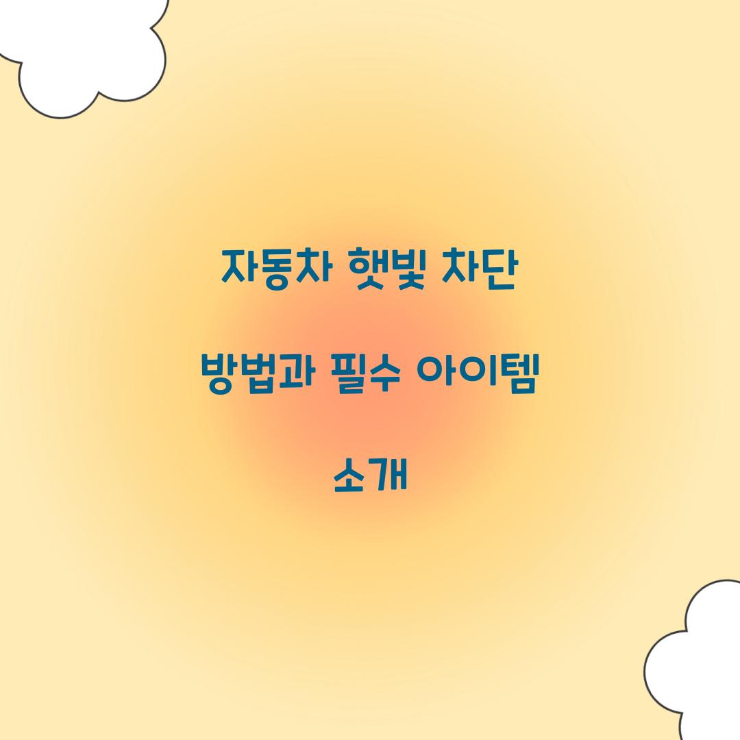 자동차 햇빛 차단