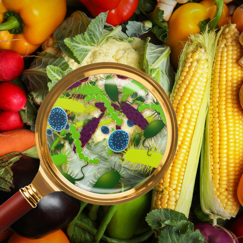 여름철 식중독_1