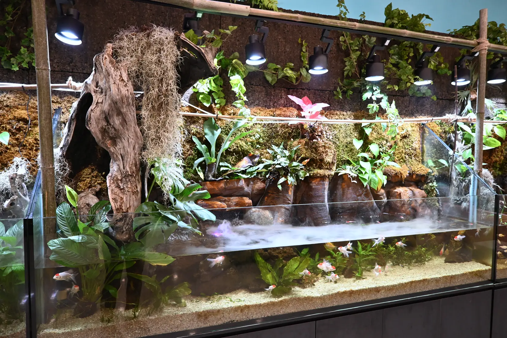 기흥 하이브패밀리 테마파크 온가족이 즐기는 동물원이 있는 키즈카페 사진 28