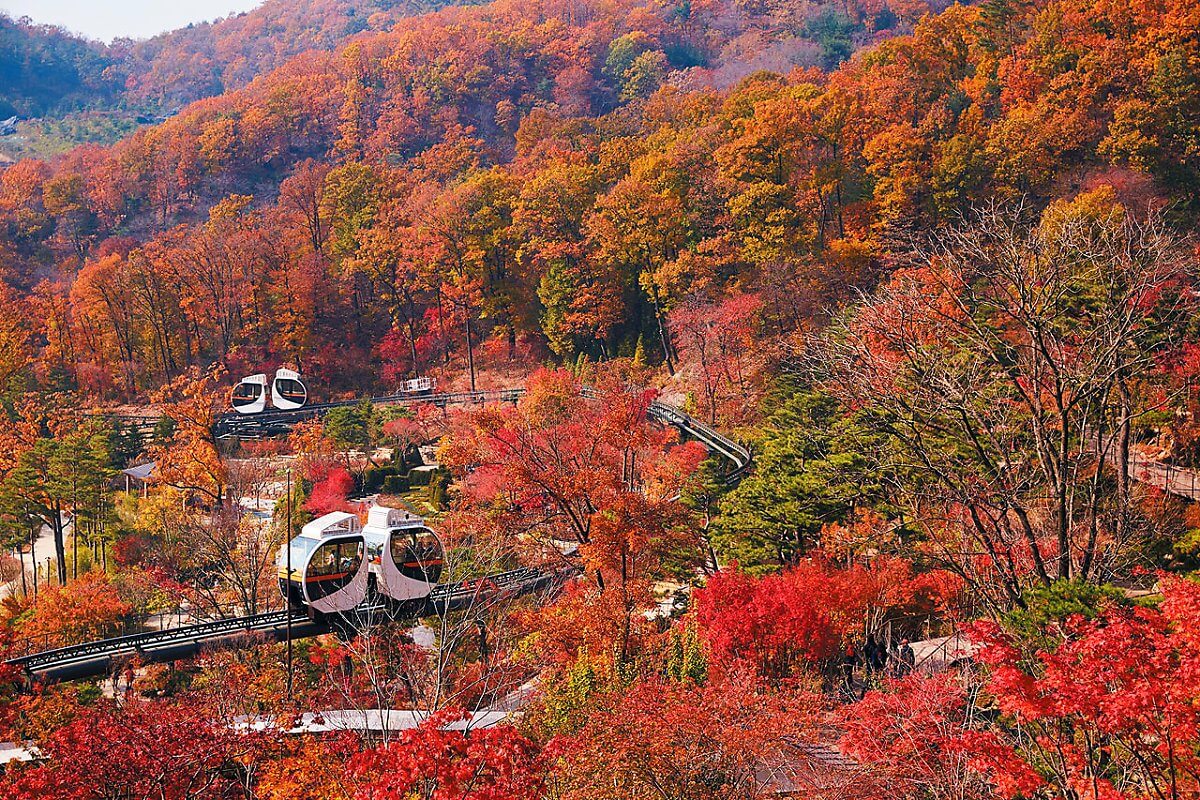 단풍명소 화담숲 온라인 예약 입장료