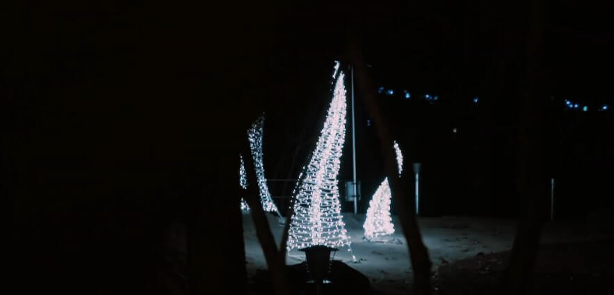 오크밸리 3D 라이팅쇼 소나타오브라이트는 밤이 되면 환상적인 세계로 변합니다.