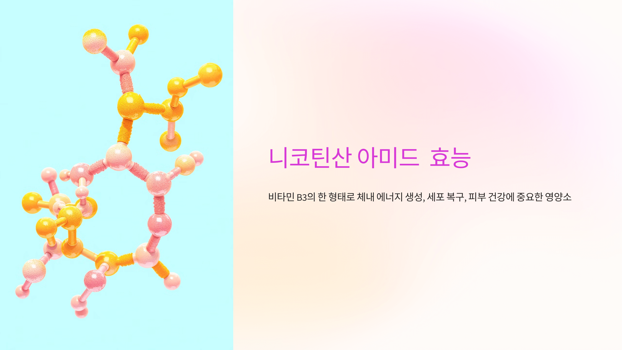 니코틴산 아미드와 관련된 사진입니다.