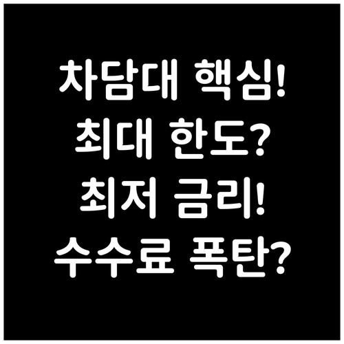 자동차 담보대출의 정확한 대출 한도 ..