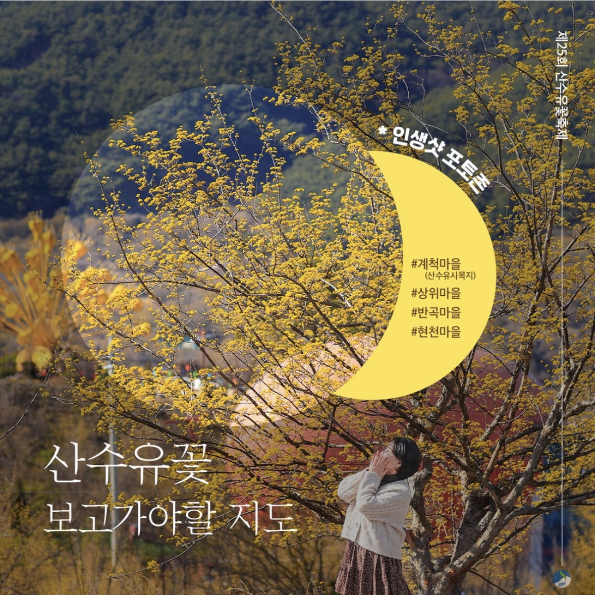 구례 산수유축제