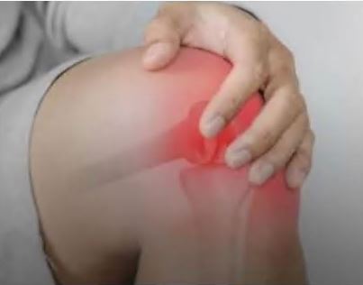 콘드로이친1200mg 가격